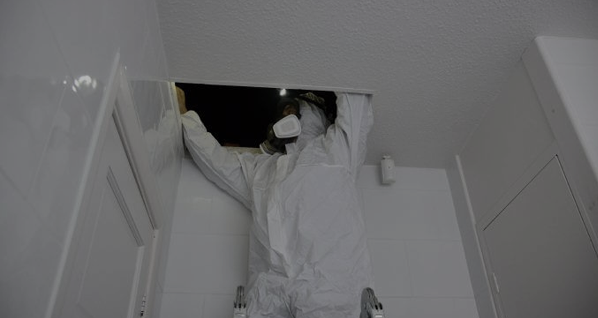Asbestos management surveys inspection